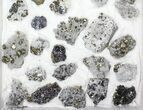 Flat - Pyrite, Galena, Quartz, Etc From Peru - Pieces #97062-1